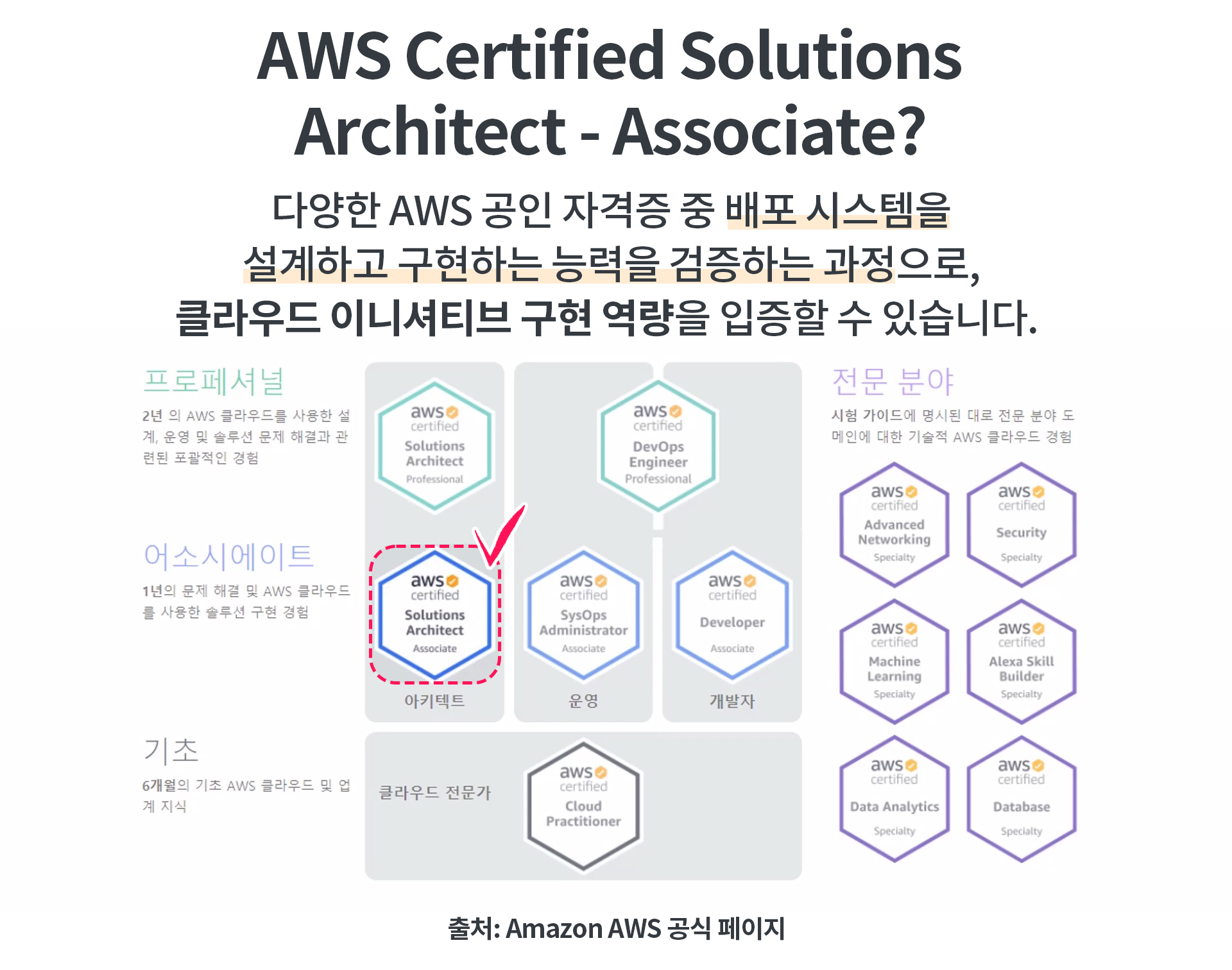 AWS SAA 시험 도메인 학습 범위